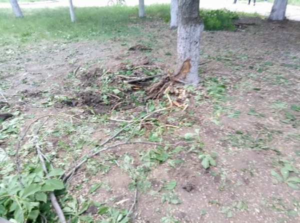 Вибиті шибки і поламані дерева: моторошні наслідки обстрілу школи у Світлодарську