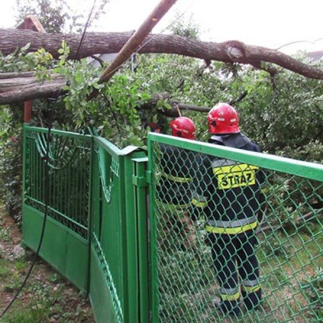 Негода в Україна забрала життя людини, десятки міст та сіл залишаються без світла