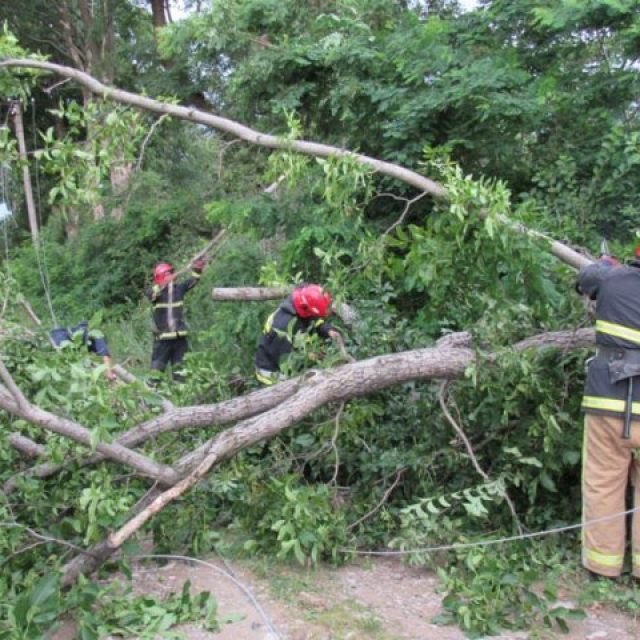 Буревій на Чернівеччині: поламано дерева та позривало дахи будинків